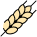 wheat